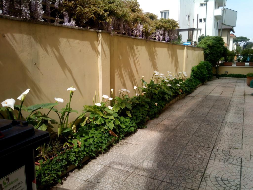 Hotel Margot Λίντο ντι Καμαϊόρε Εξωτερικό φωτογραφία